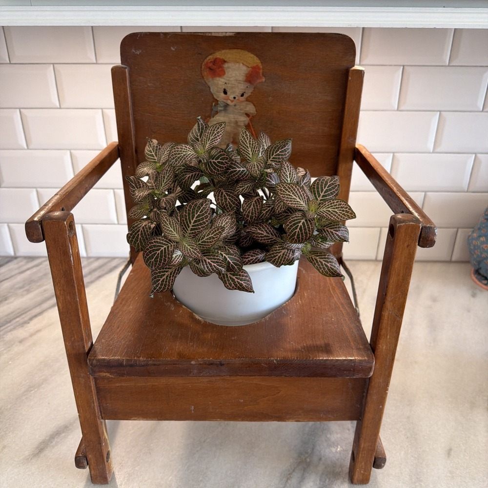 Vintage 1950's Wooden Folding Kids Potty Chair Perfect Planter!